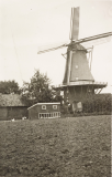 De-Ster-1916-1943-c