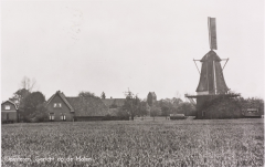 De-Ster-1943-1958-b