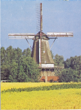 De-Ster-1961-1979-a