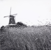 De-Ster-1962-a