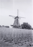 De-Ster-1971-05-31-a